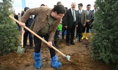 20 BİN FİDAN TOPRAKLA BULUŞTU