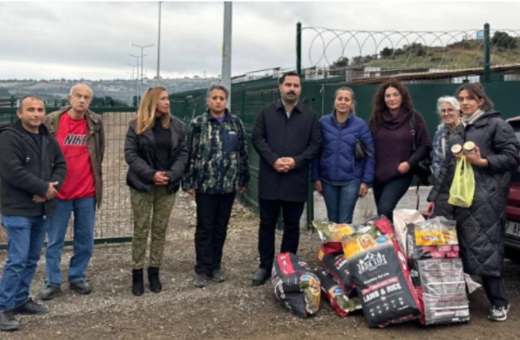 Kent Konseyi’nden Hayvan Barınağına Ziyaret: Şeffaflık İstiyoruz